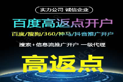 百度竞价赚钱攻略：实战案例分享