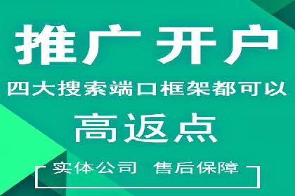 百度竞价代运营公司成功案例揭秘：策略与执行